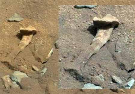 اخبار علمی و آموزشی - تصویر استخوان ران در مریخ+تصاویر